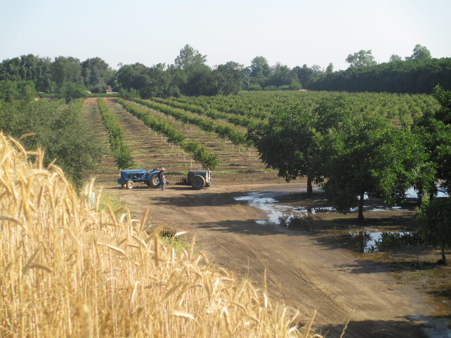 Farm Image with Workers