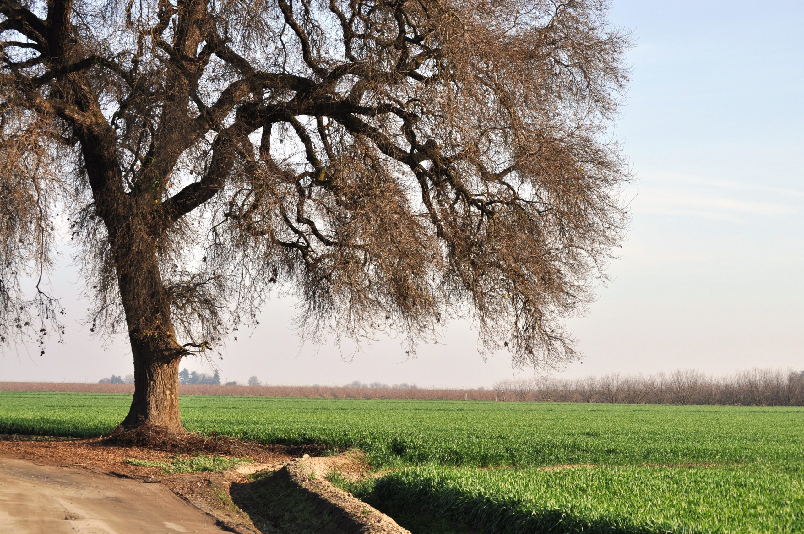 Image of Ag River