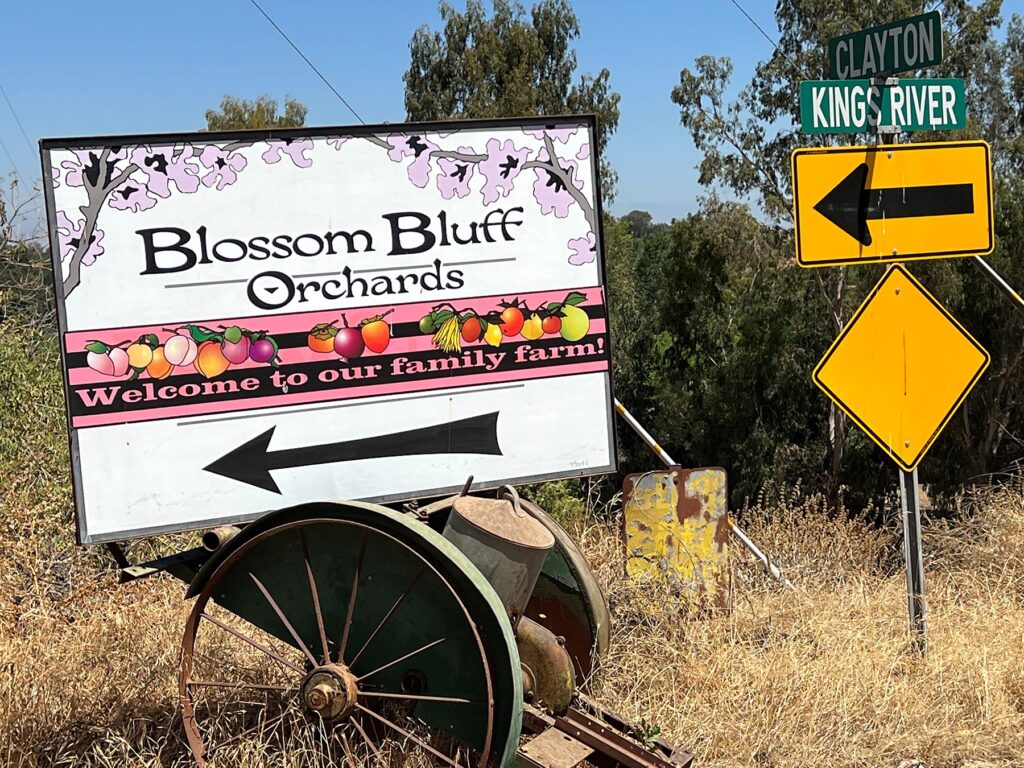 Blossom Bluff Orchard Picture