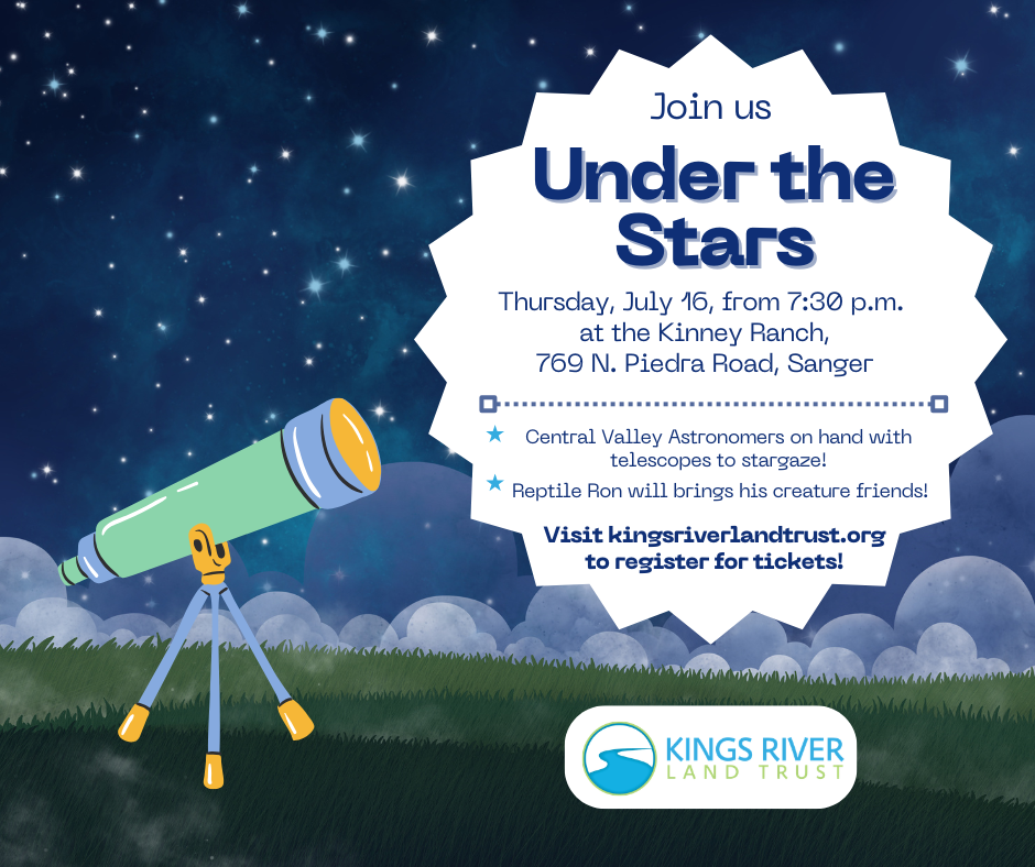 Under The Stars